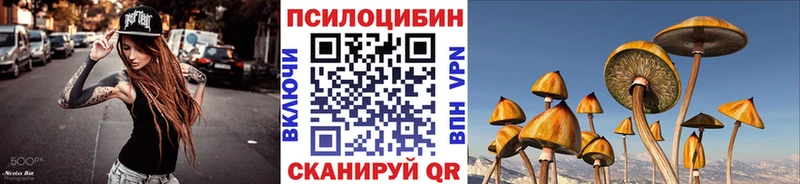 OMG зеркало  как найти   Анапа  Псилоцибиновые грибы мухоморы 