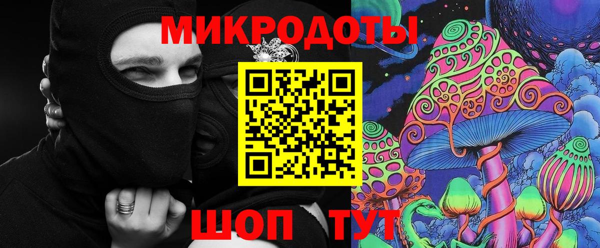 Галлюциногенные грибы Psilocybine cubensis Анапа