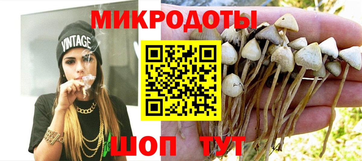 Псилоцибиновые грибы Psilocybe  Псилоцибиновые грибы Psilocybe  Анапа 