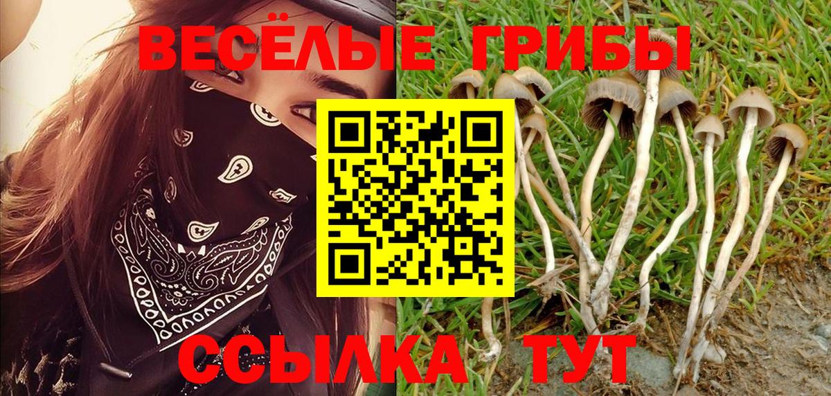 Анапа  Псилоцибиновые грибы Psilocybe  Вход с VPN  Галлюциногенные грибы мухоморы 